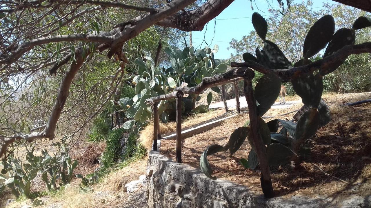 Villa Sifis Pirounakis Anatoli Léntas Exterior foto